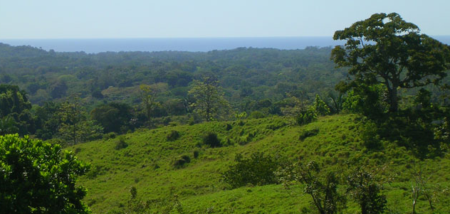 Picture 8