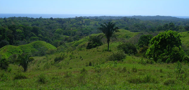Picture 9